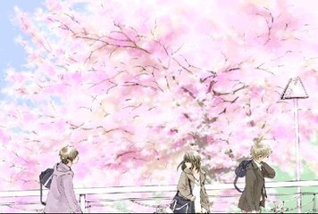 雏鸟圆你一个梦